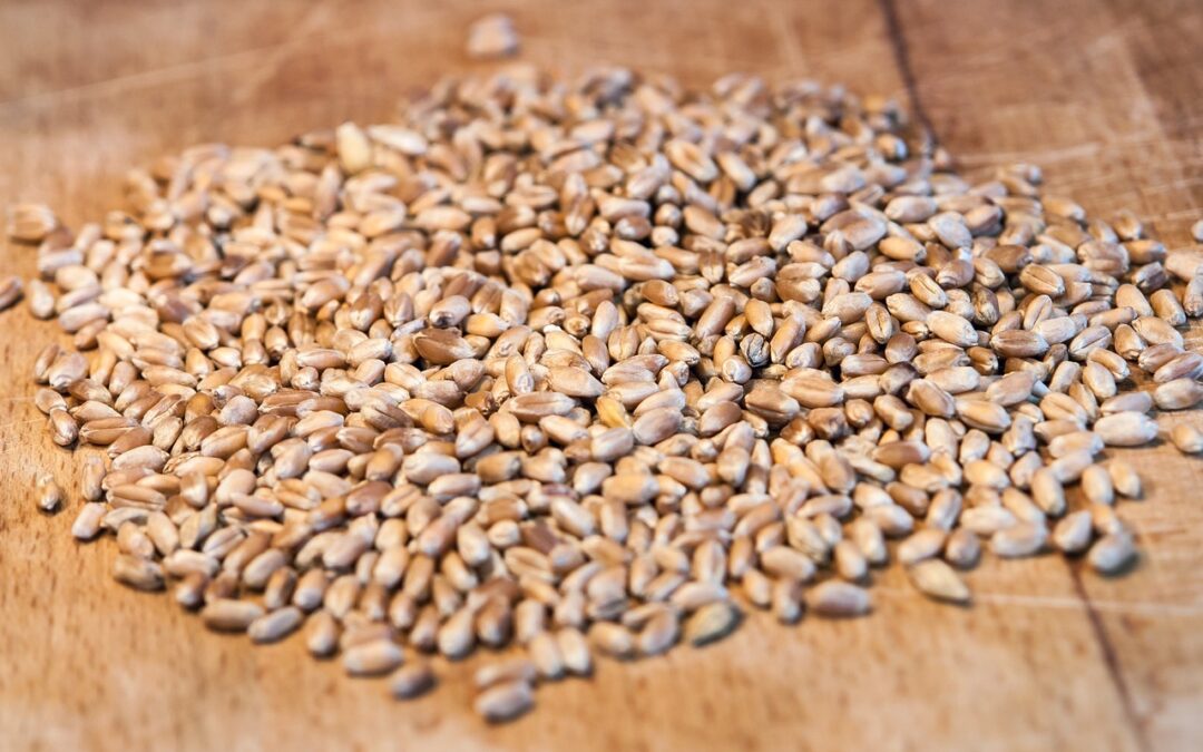 Tenemos nuevas harinas